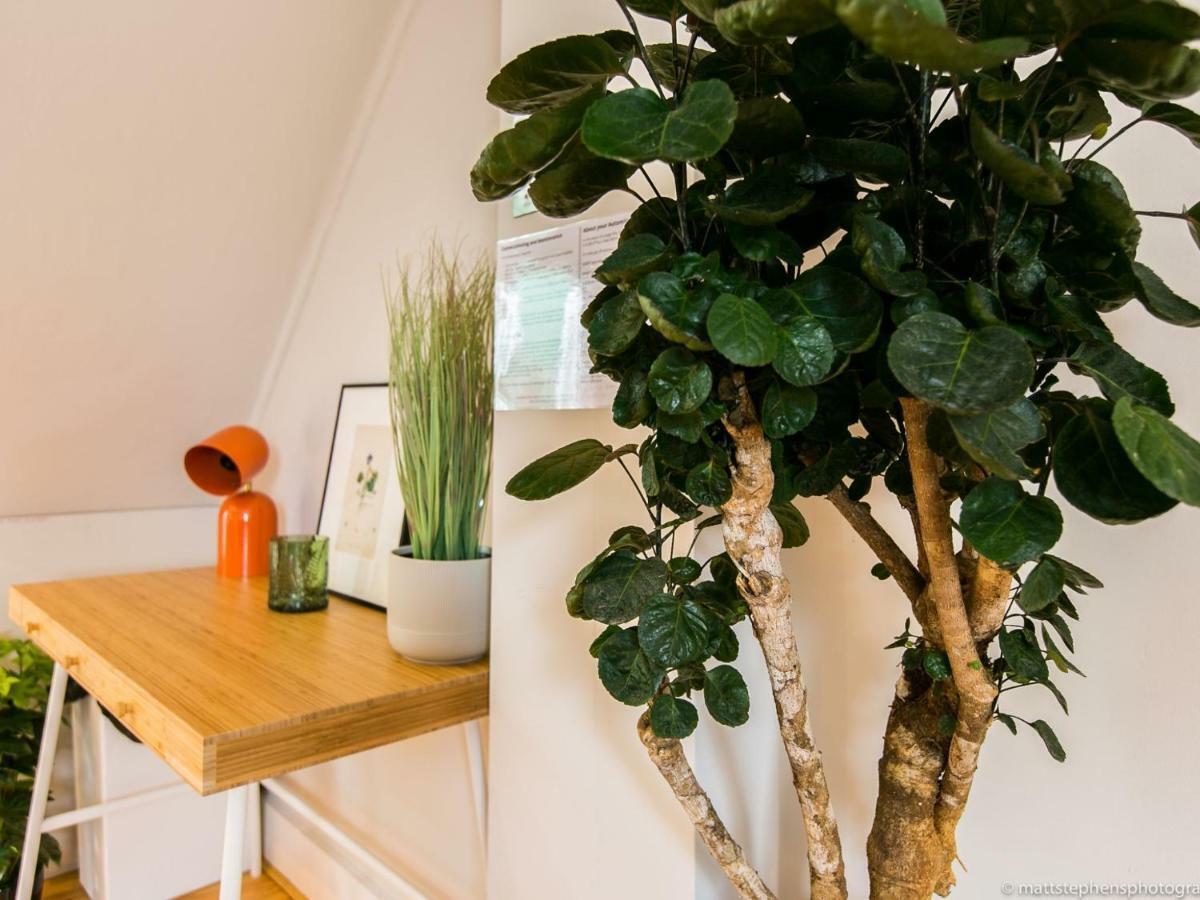 Exquisite 3Bdr Botanical Oasis In Central Brighton Exteriör bild